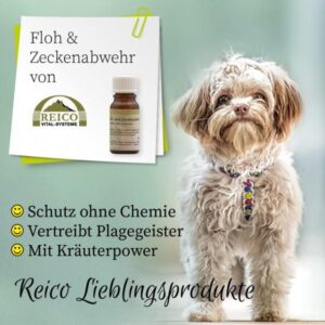 Warum Reico Futter - Claudia Cubic