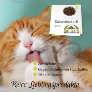 Warum Reico Futter - Claudia Cubic